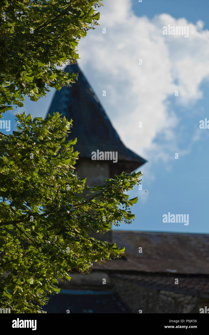 Albero di quercia di fronte al campanile della chiesa di San Marziale un borgo della comunità di Varen, Tarn et Garonne, Occitanie, Francia in estate. Foto Stock