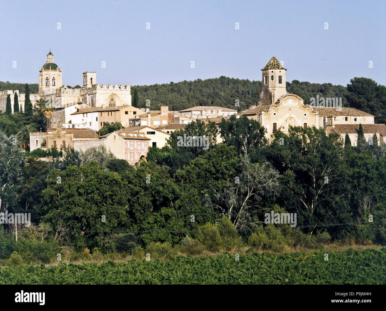 Vista parziale di San Juan de las Abadesas, evidenziando il monastero. Foto Stock