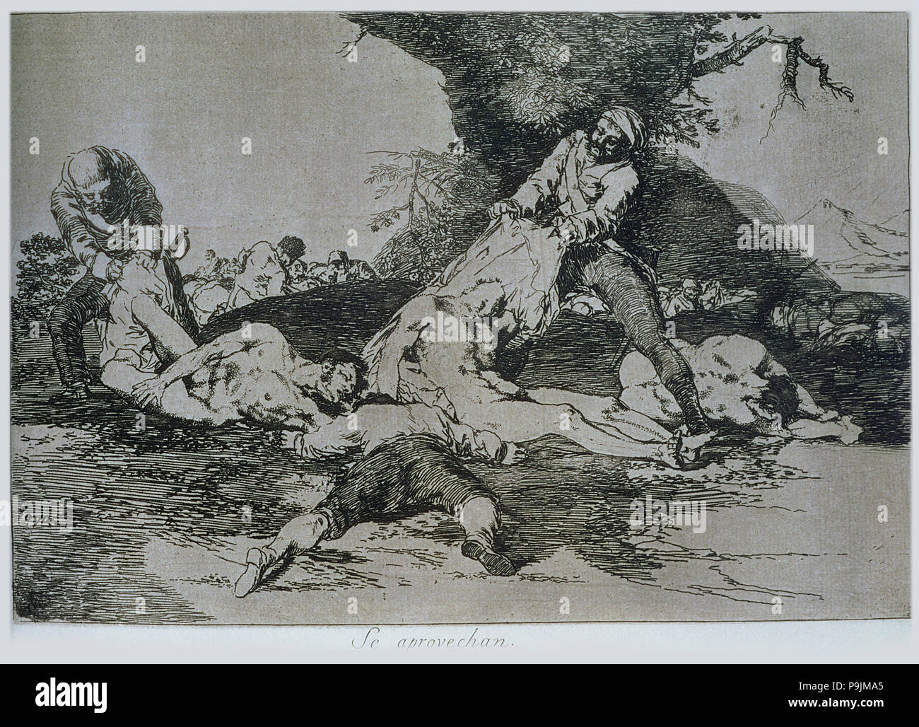 I disastri della guerra, una serie di incisioni di Francisco de Goya (1746-1828), la piastra 16: 'Se aprove… Foto Stock