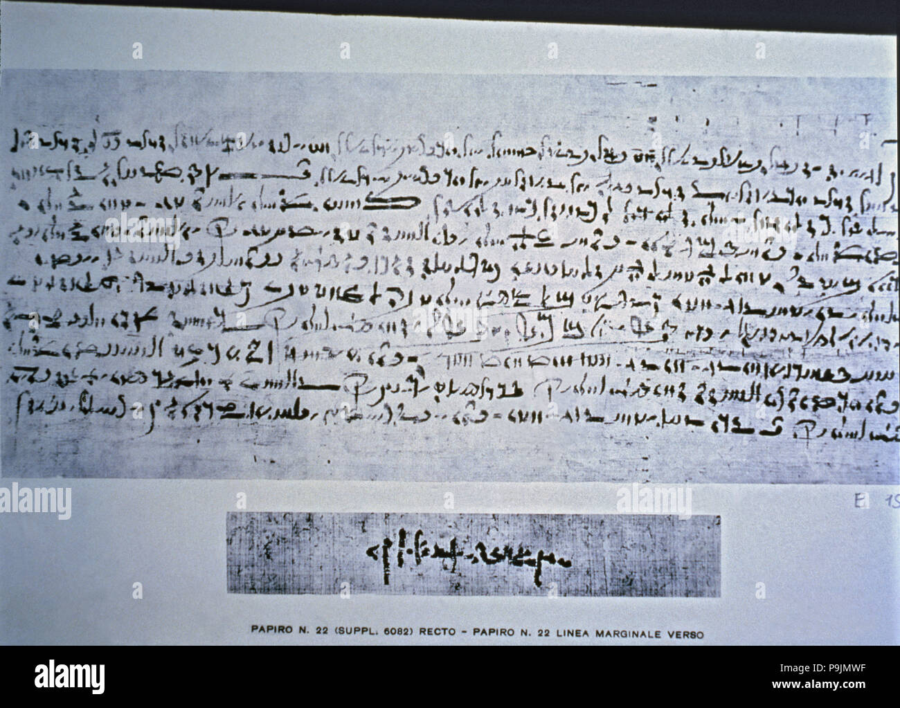 Demotic papyrus. Contratto di matrimonio tra Senptois Pikos e. Foto Stock