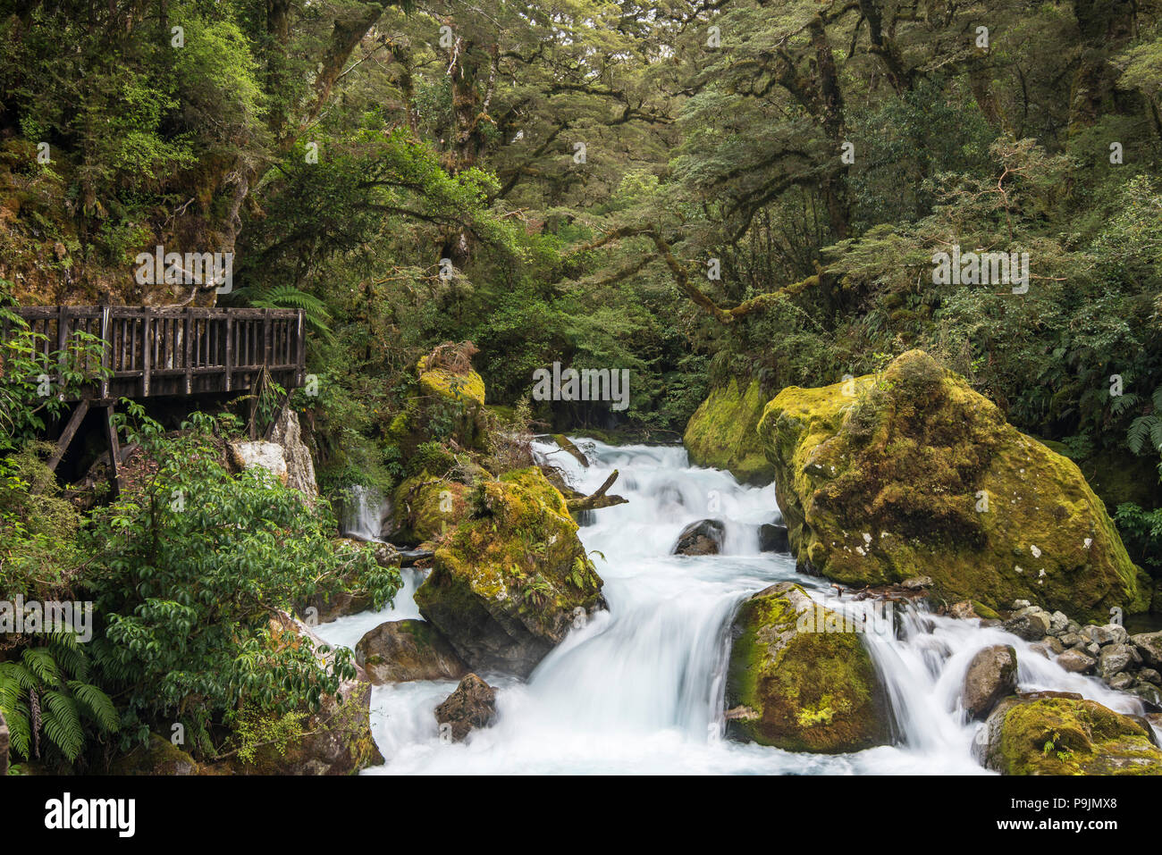 Passerella in legno a Marian cade, strada per il Lago Marian, Parco Nazionale di Fiordland, Te Anau, Southland, Nuova Zelanda Foto Stock