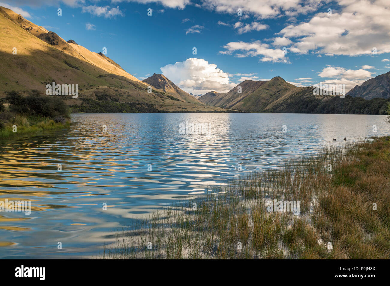 Fuma vicino lago di Queenstown, il lago con le montagne, Otago, Isola del Sud, Nuova Zelanda Foto Stock