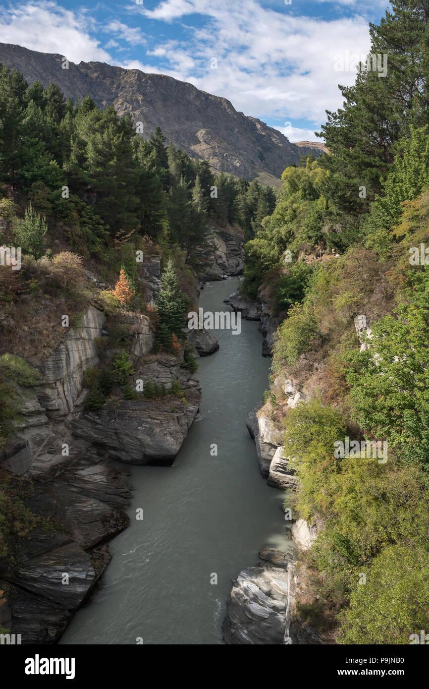 Vista nel canyon del fiume Shotover, Queenstown, Otago, Isola del Sud, Nuova Zelanda Foto Stock