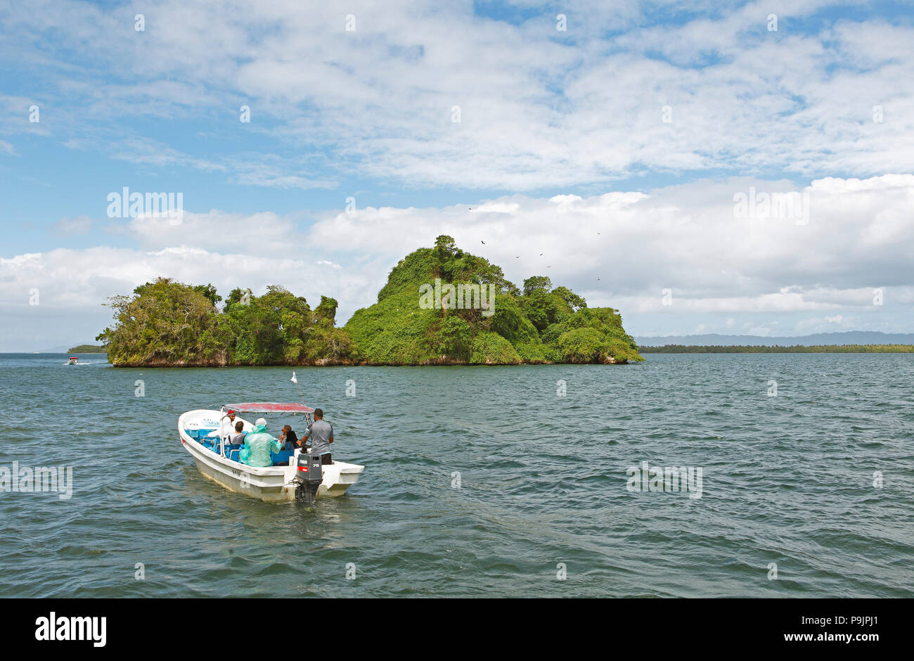 Cayo o isola di roccia, fregate cerchio sopra, barche a motore davanti e dietro, Parco Nazionale Los Haitises, Samaná Provincia Foto Stock