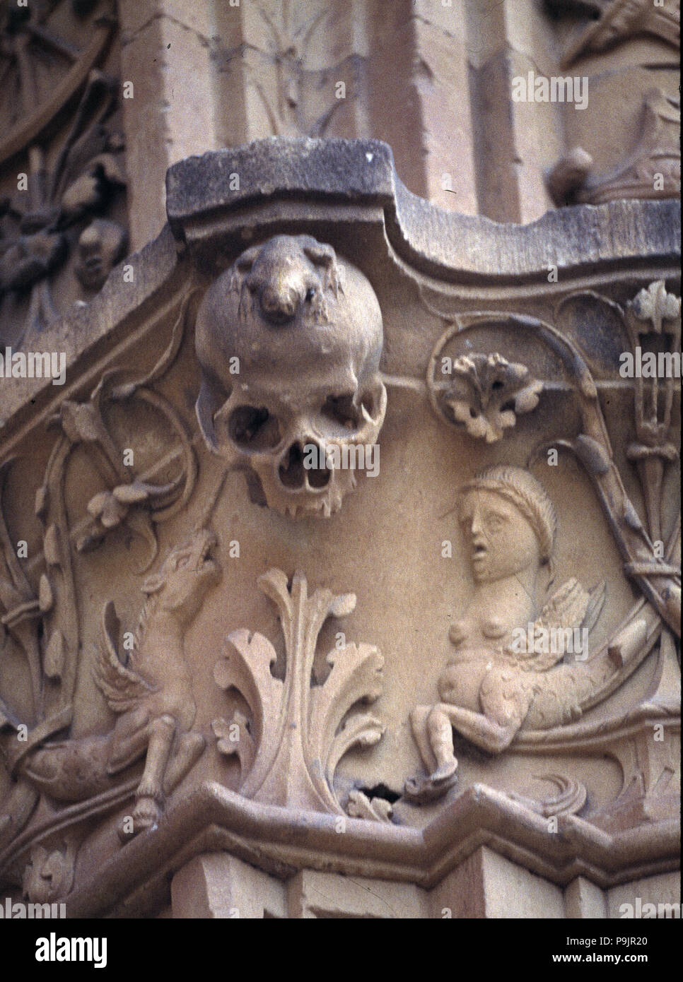 Università di Salamanca, dettaglio della decorazione nella prima parte della facciata con frog pesce persico… Foto Stock