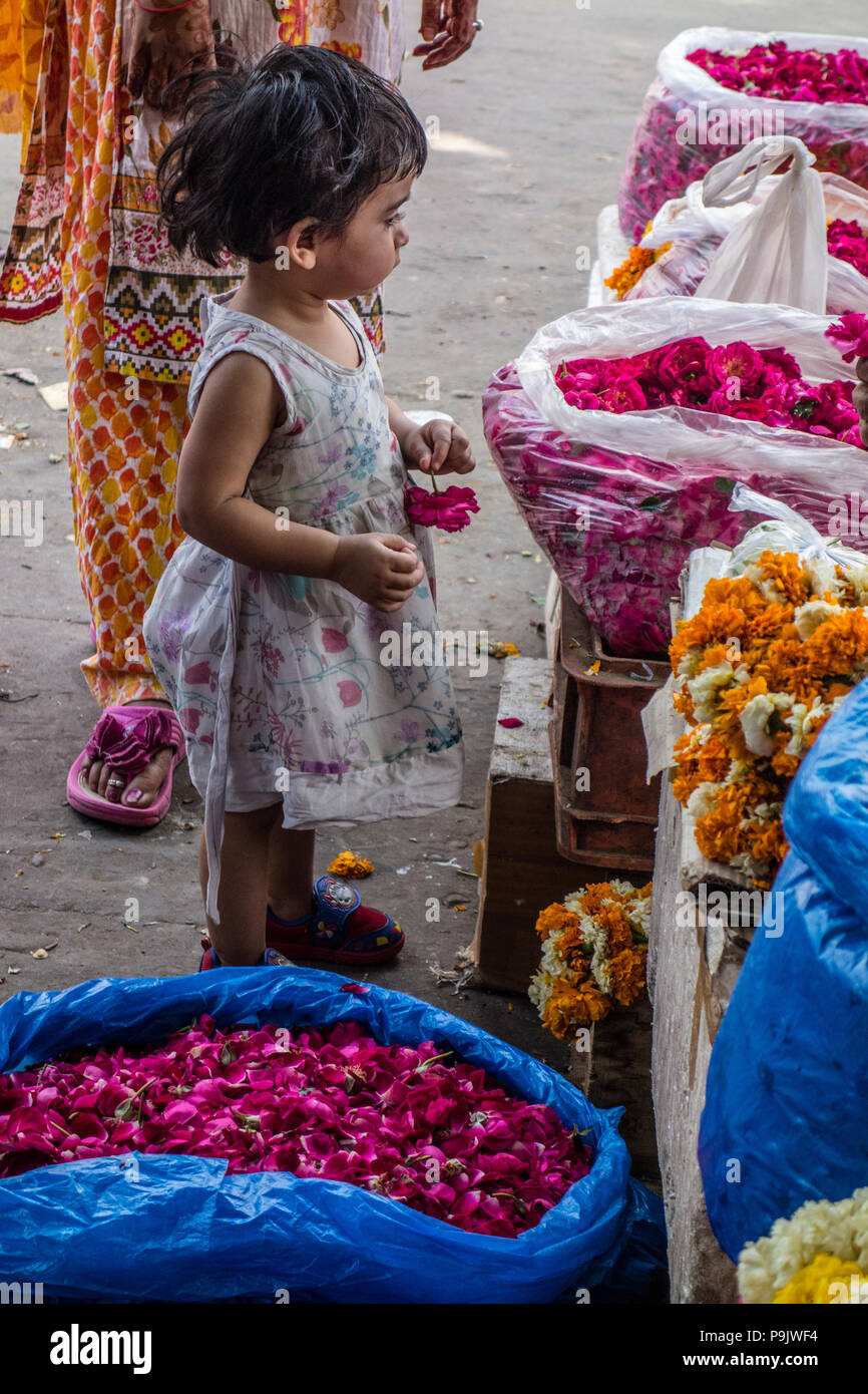 Piccola ragazza indiana guardando ceste di fiori in un mercato in stallo la Vecchia Delhi, Delhi, India Foto Stock