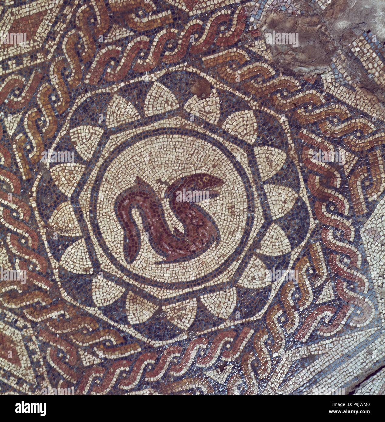 Dettaglio di un mosaico raffigurante un serpente nella casa romana di Merida anfiteatro. Foto Stock