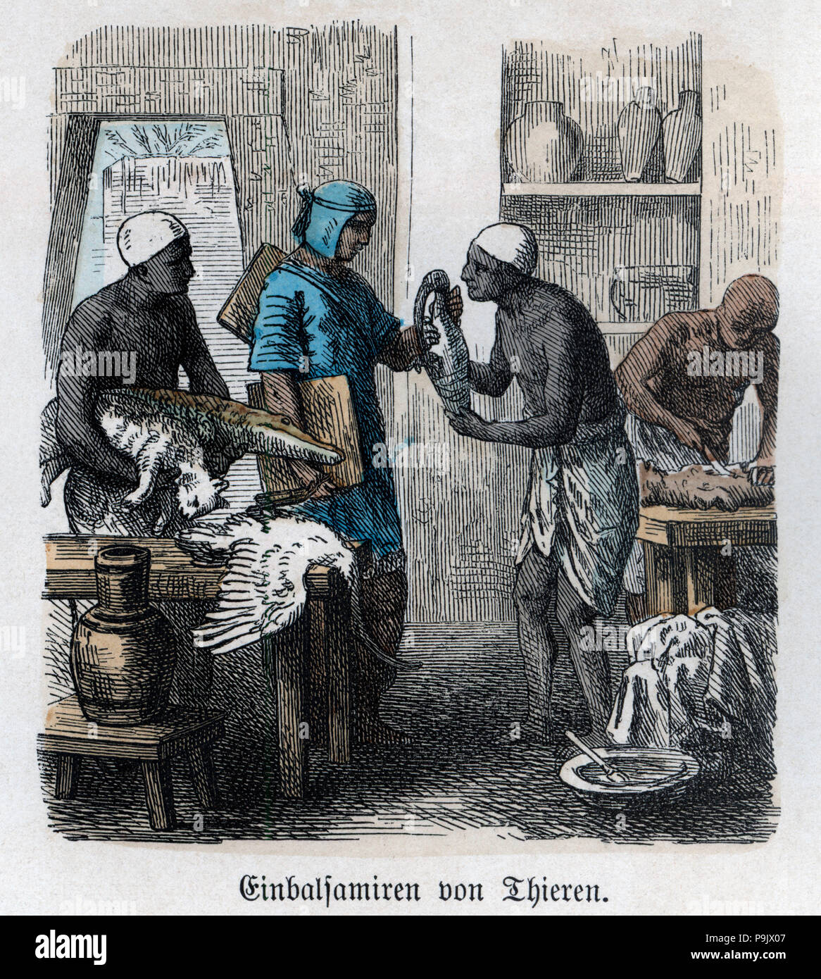 La storia antica. L'Egitto. Imbalsamazione degli animali. Incisione tedesca, 1865. Foto Stock