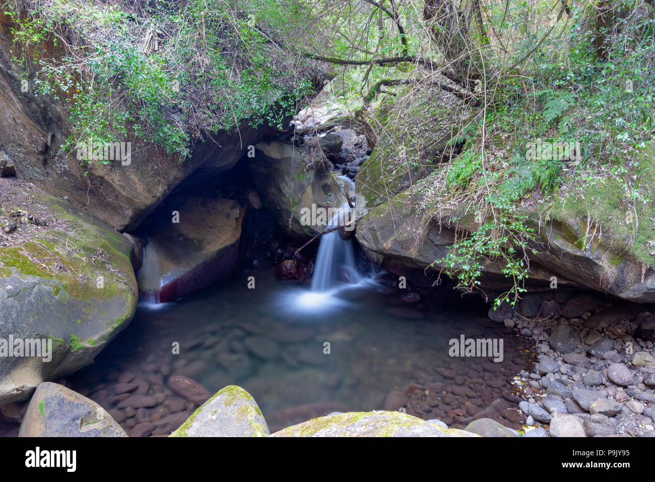 Montagne Drakensberg, Kwazulu Natal, Sud Africa Foto Stock