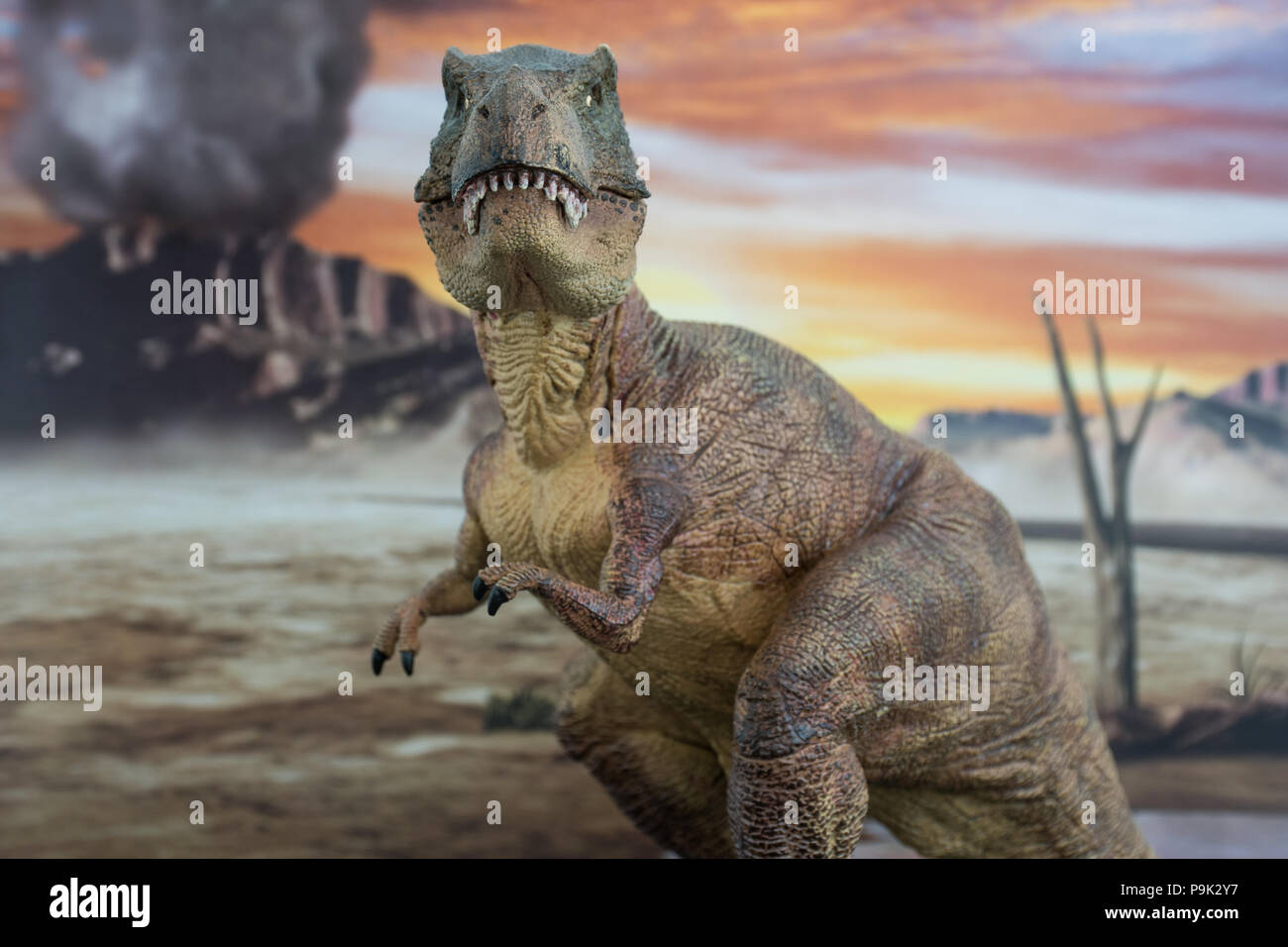 Tyrannosaurus rex sulla terra cretaceo Foto Stock