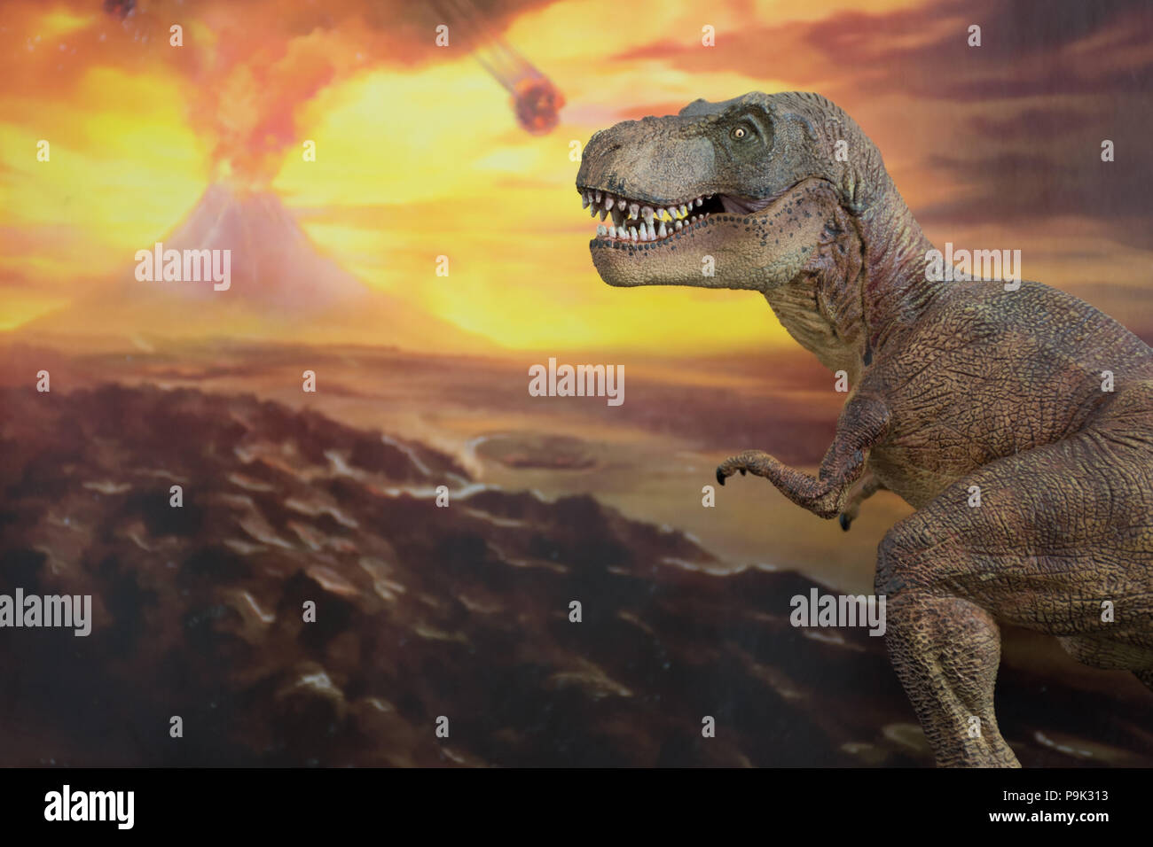 Tyrannosaurus rex sulla terra cretaceo Foto Stock