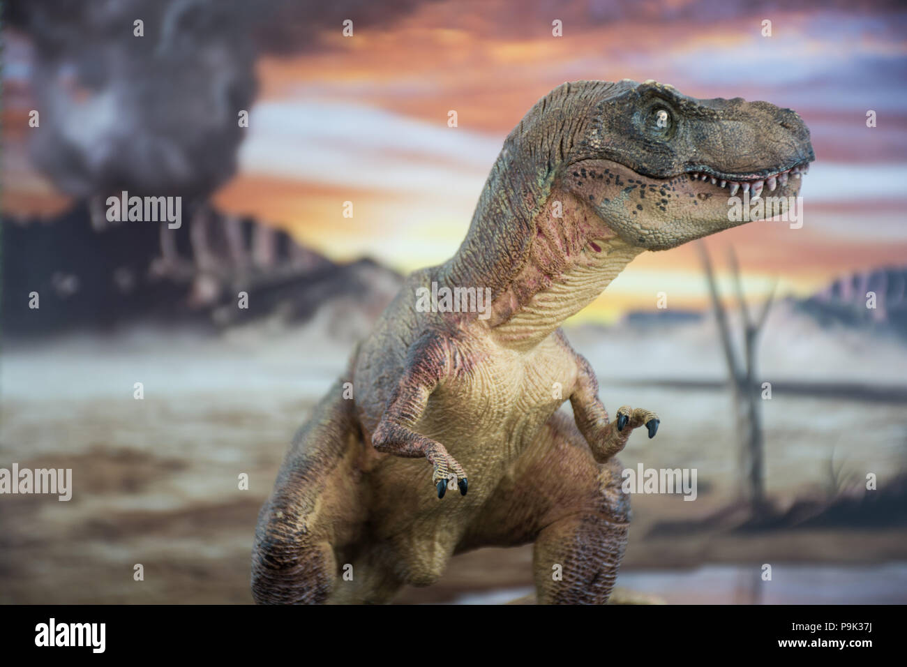 Tyrannosaurus rex sulla terra cretaceo Foto Stock