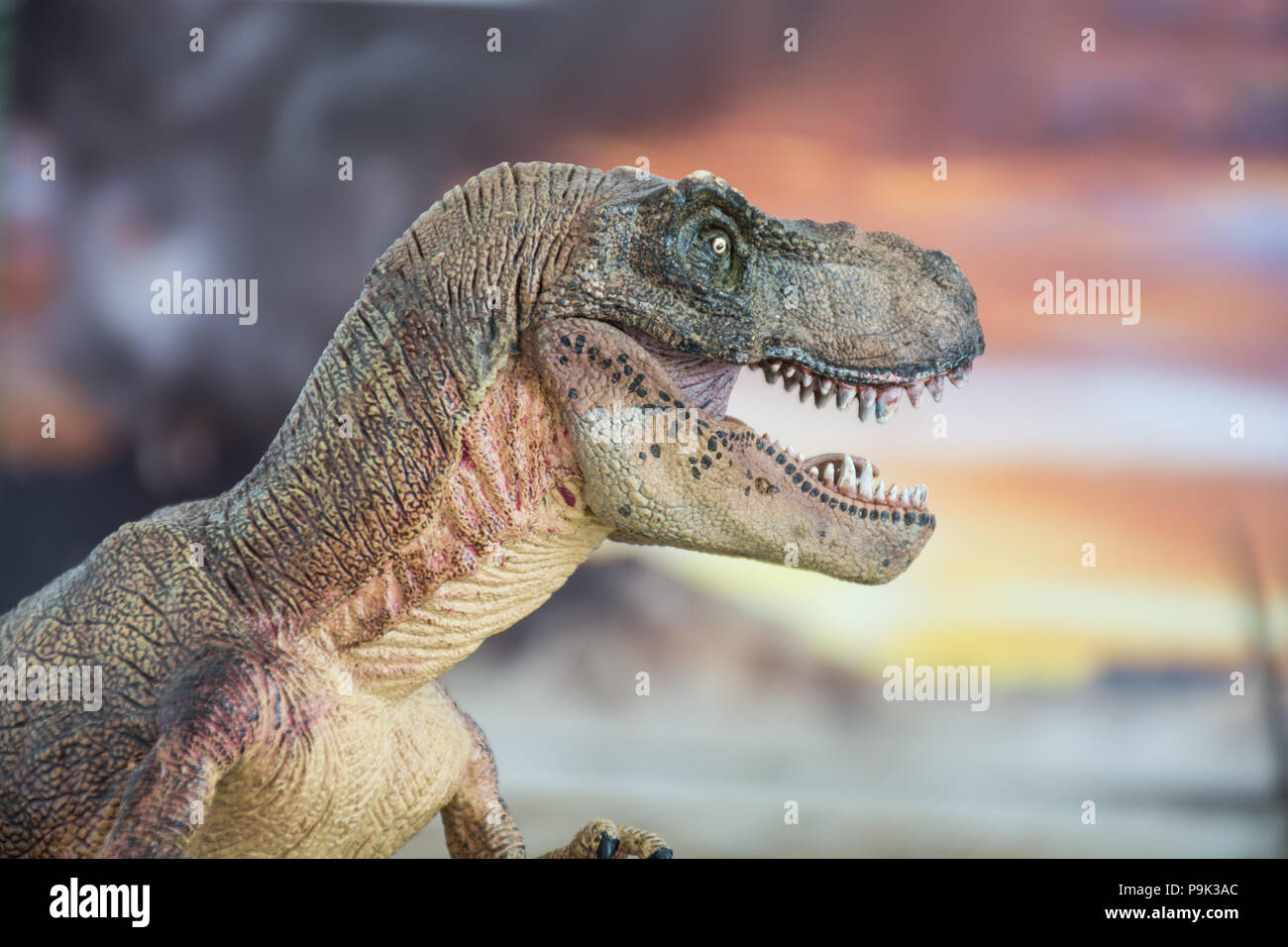 Tyrannosaurus rex sulla terra cretaceo Foto Stock