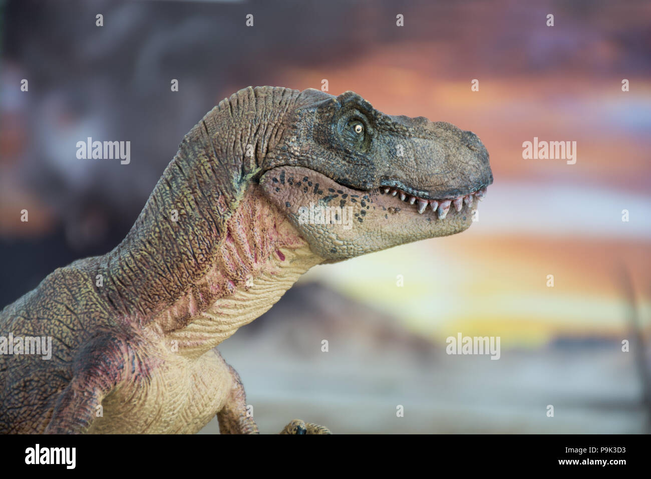 Tyrannosaurus rex sulla terra cretaceo Foto Stock