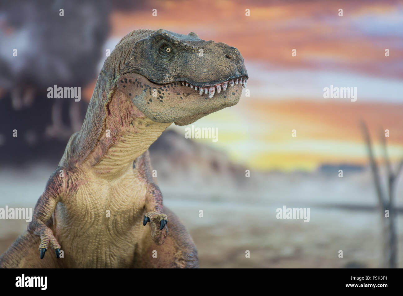 Tyrannosaurus rex sulla terra cretaceo Foto Stock