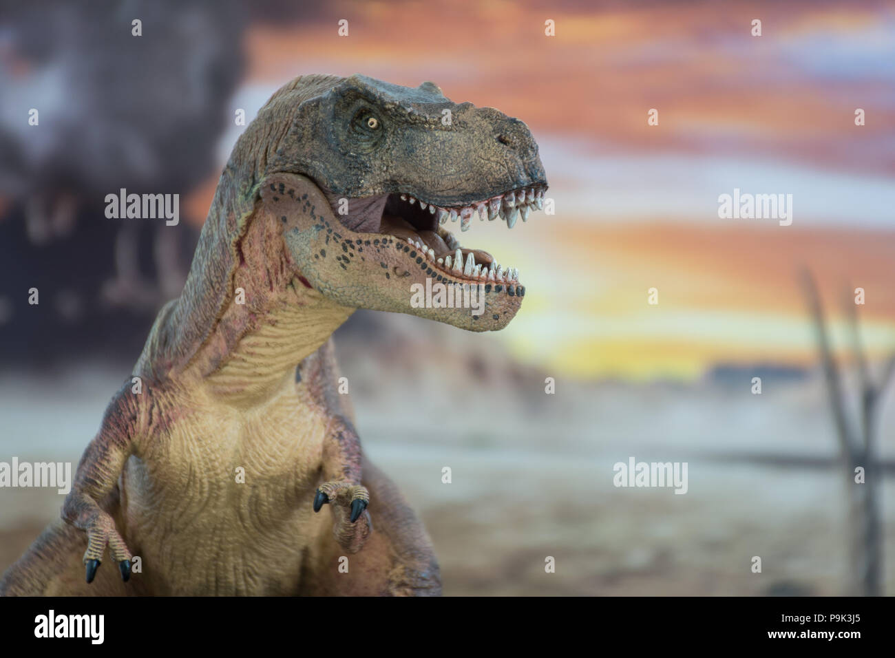 Tyrannosaurus rex sulla terra cretaceo Foto Stock