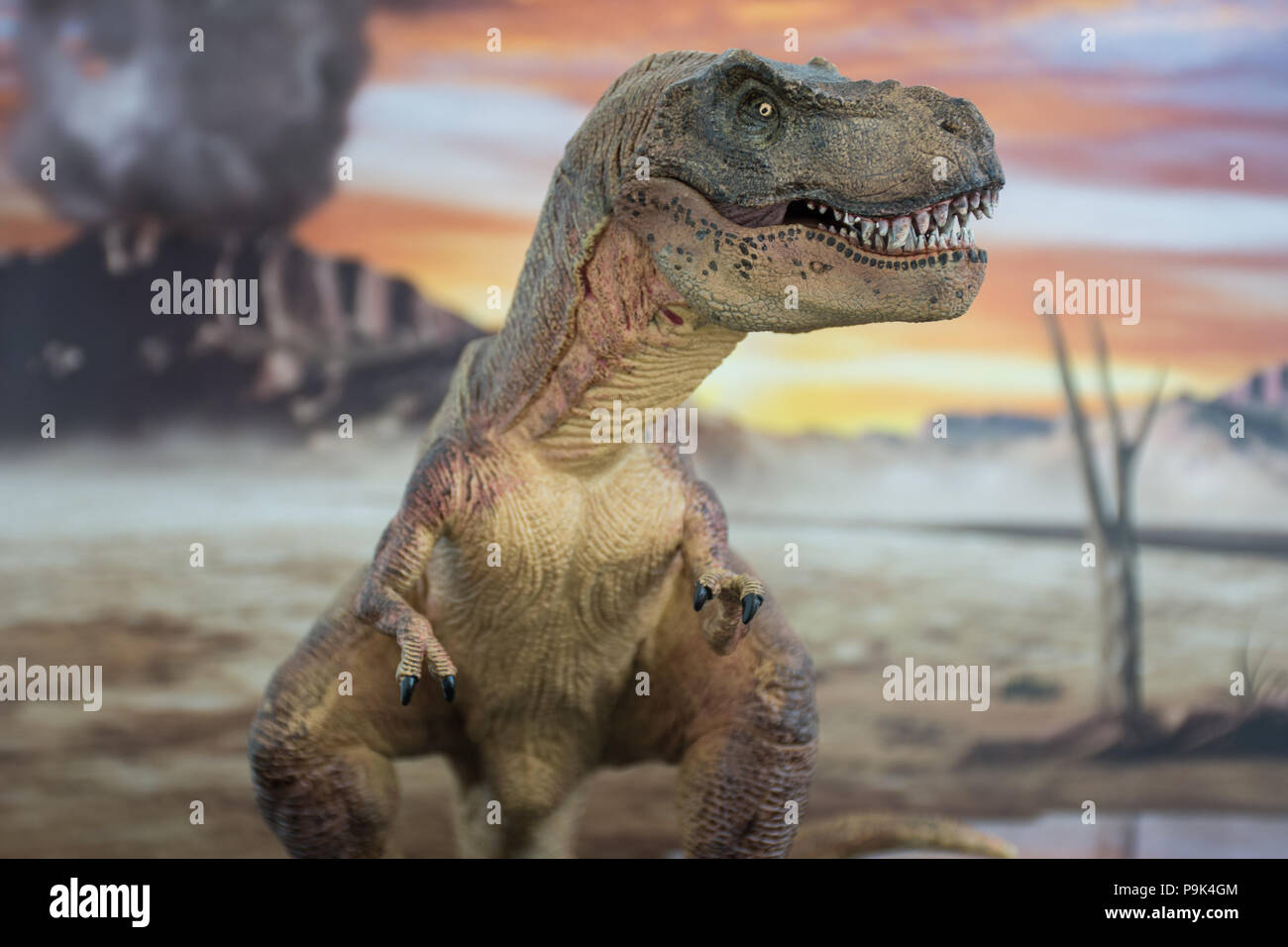 Tyrannosaurus rex sulla terra cretaceo Foto Stock