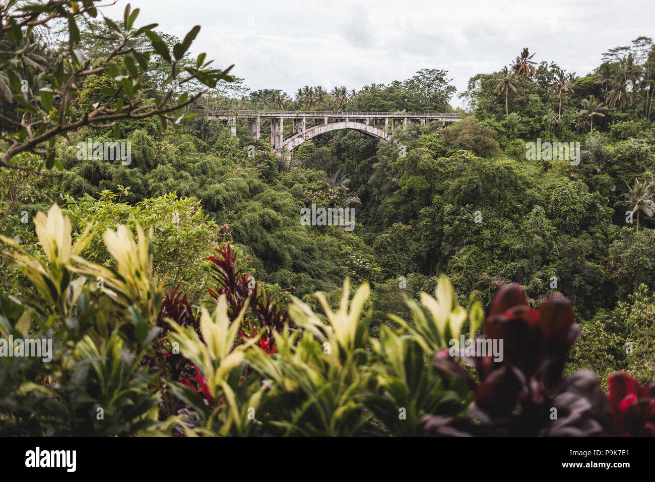 Vista Giungla di Bali con il vecchio ponte di sospensione Foto Stock