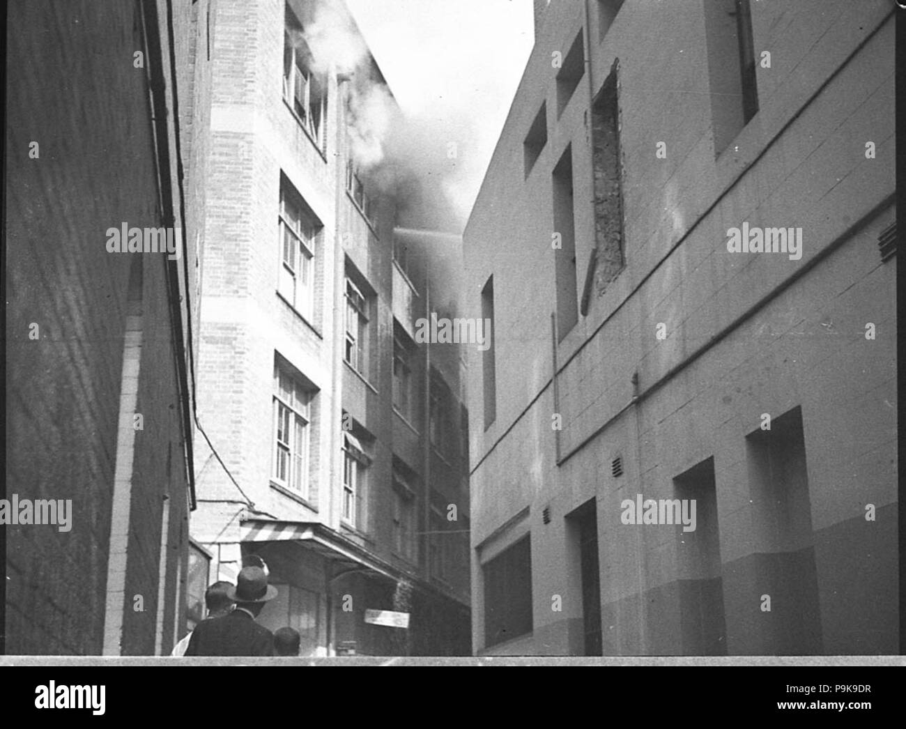 242 19599 SLNSW vigili del fuoco Foto Stock