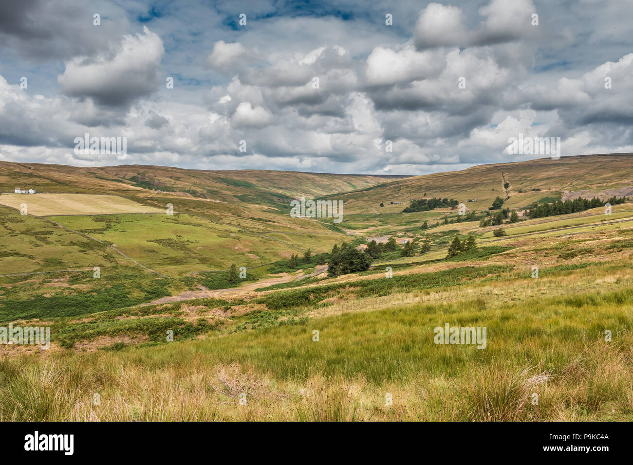 North Pennines AONB paesaggio, Hudes Hope Valley, Coldberry e Lodge Syke miniera di piombo rimane, Teesdale, REGNO UNITO Foto Stock