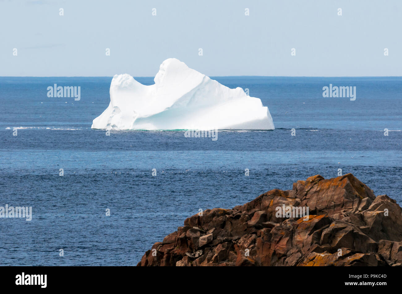 Iceberg alla deriva passato la costa di Terranova a Cape Bonavista. Foto Stock