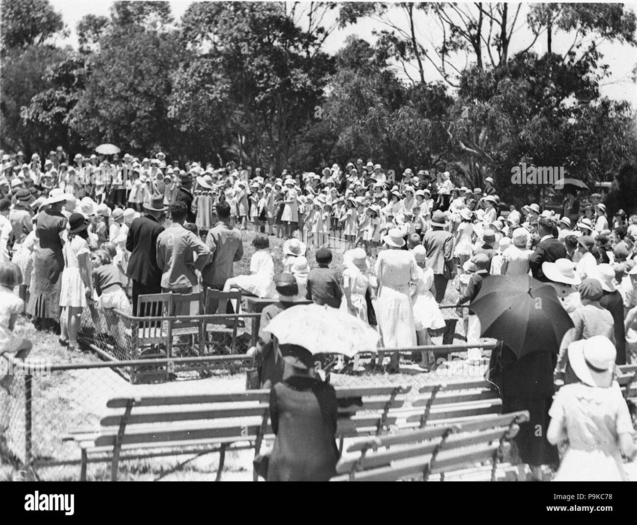 265 43377 SLNSW spettacolo per bambini al Taronga Park Zoo Foto Stock
