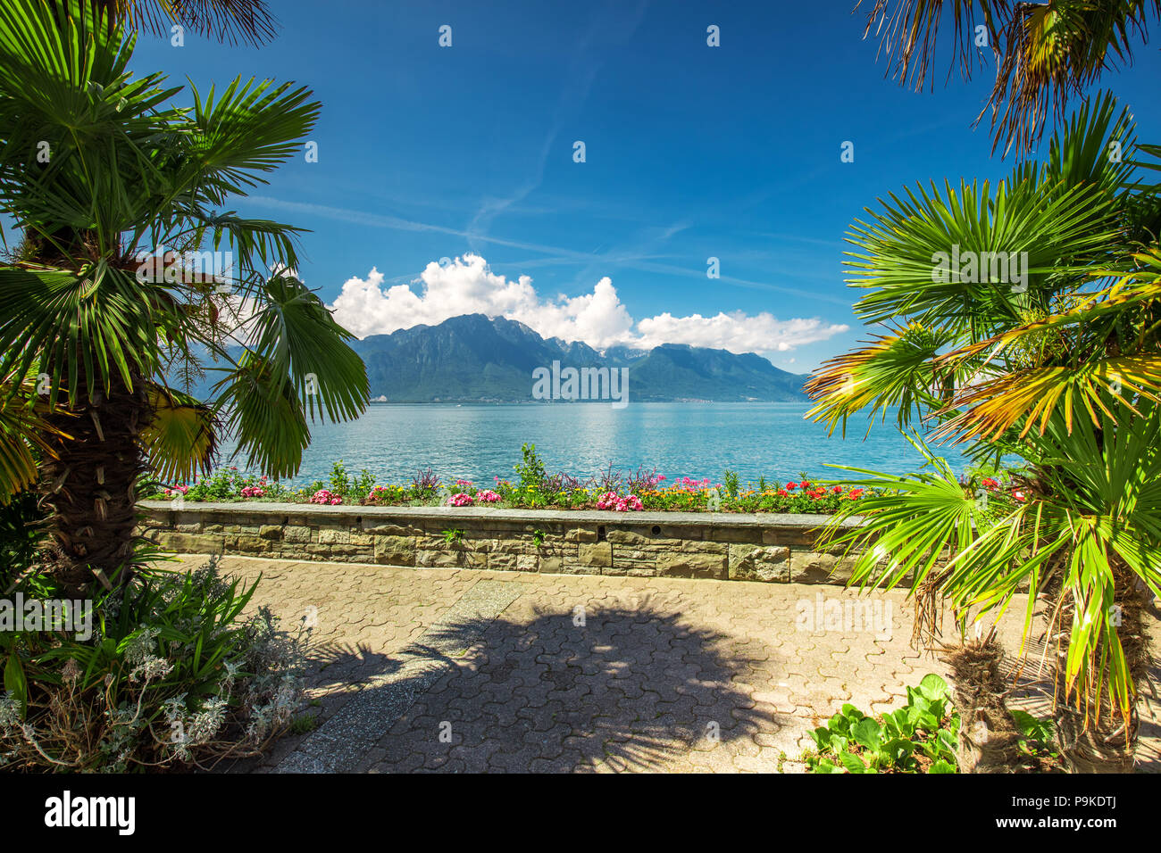La città di Montreux con alpi svizzere, il lago di Ginevra e sulla regione di Lavaux, Canton Vaud, Svizzera, Europa. Foto Stock