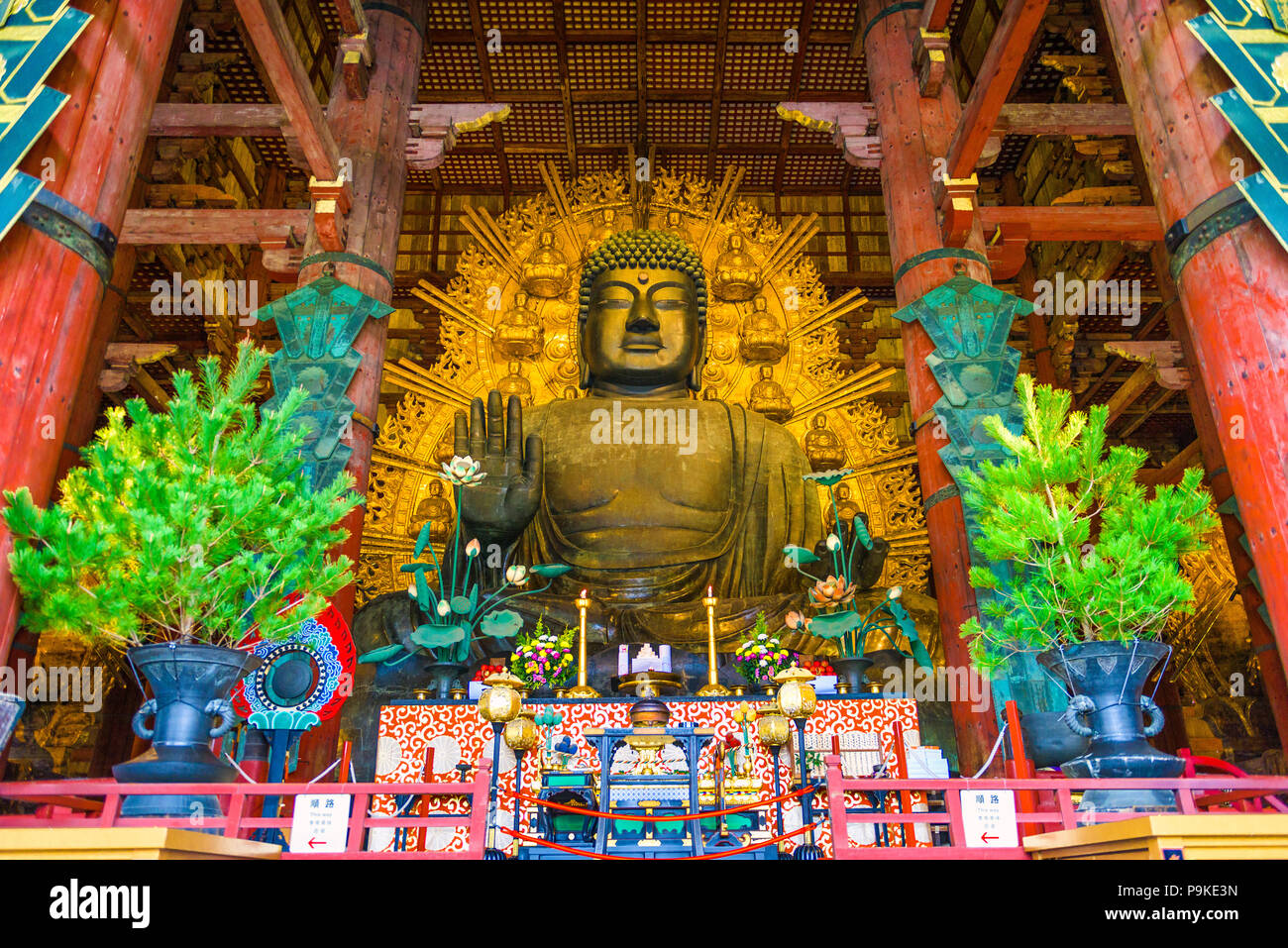 NARA, Giappone - 19 novembre 2015: il Buddha Todaiji. È considerato il più grande del mondo statua in bronzo del Buddha Vairocana. Foto Stock