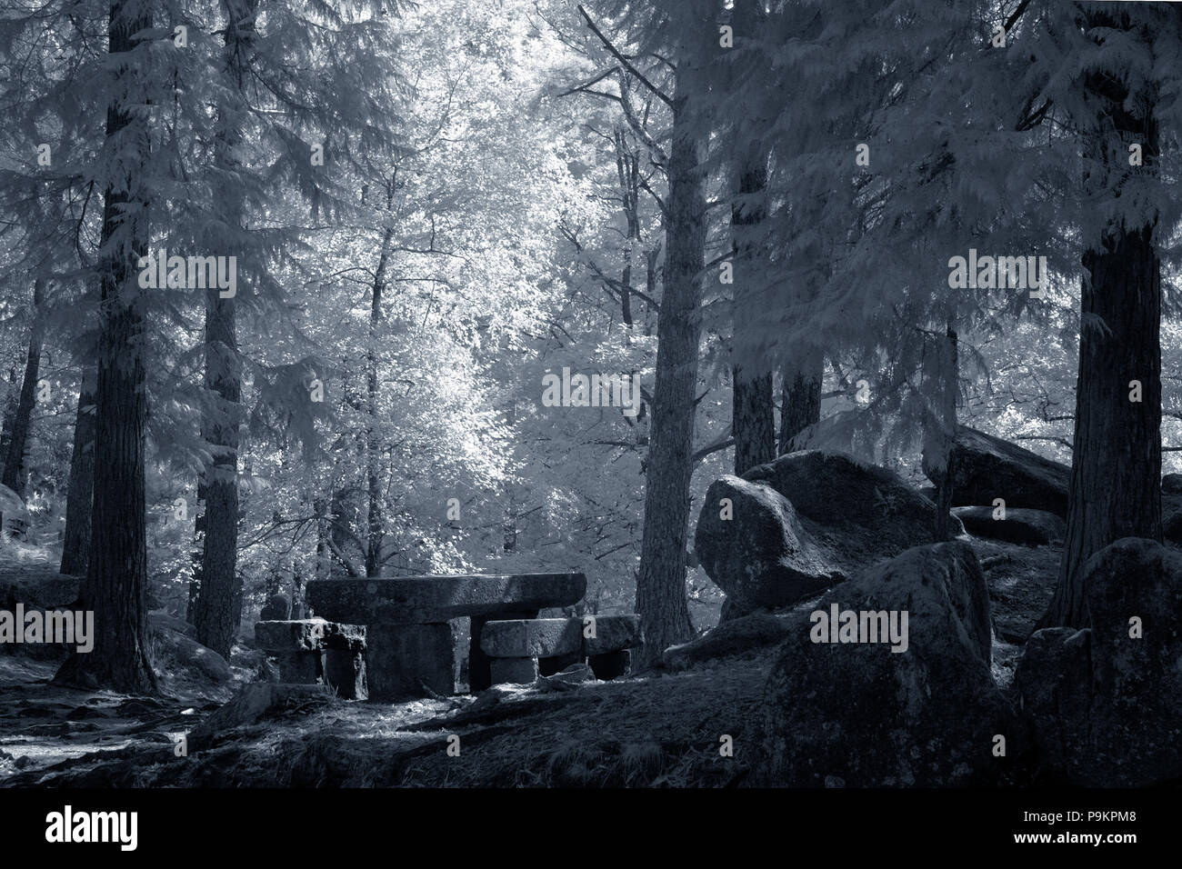 Picnic tavolo di granito nel midle di fitti boschi. Portoghese parco naturale di Panda Geres. Utilizzate il filtro a raggi infrarossi. Foto Stock