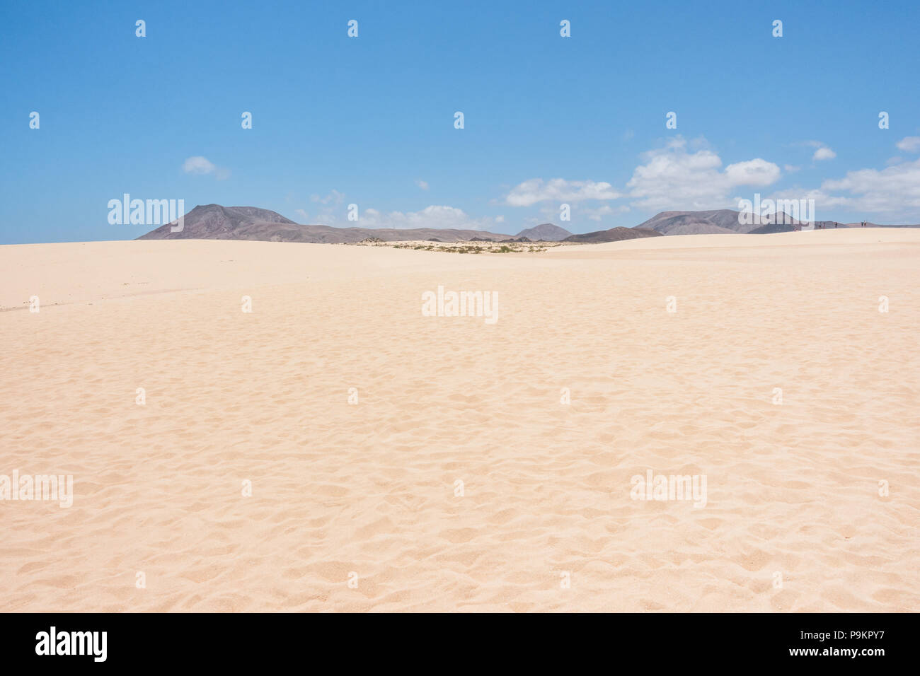 Dune di Corralejo Parco Naturale a Fuerteventura Isole Canarie - Spagna Foto Stock