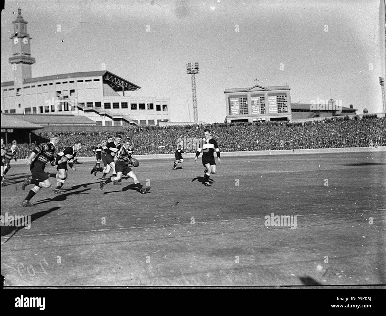 294 85566 SLNSW Football Balmain v sobborghi occidentali Foto Stock