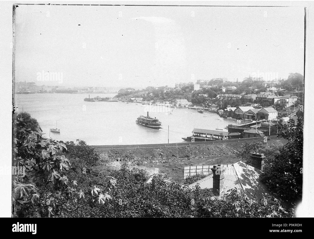 295 8855 SLNSW guardando verso la baia di Walsh che mostra i traghetti lasciando McMahons Point Wharf e Lavender Bay Wharf Foto Stock