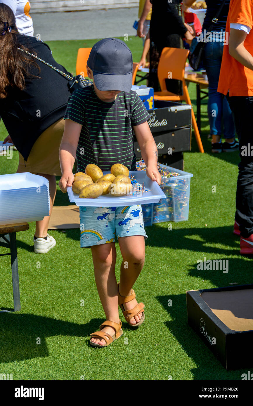 Malmö, Svezia. 19 Luglio, 2018. Un tentativo di impostazione di un record del mondo nella creazione la massima corrente elettrica utilizzando patate ordinaria che si svolgono in Folkets Park (i popoli Park). Tommy Lindholm/Alamy Live News Foto Stock
