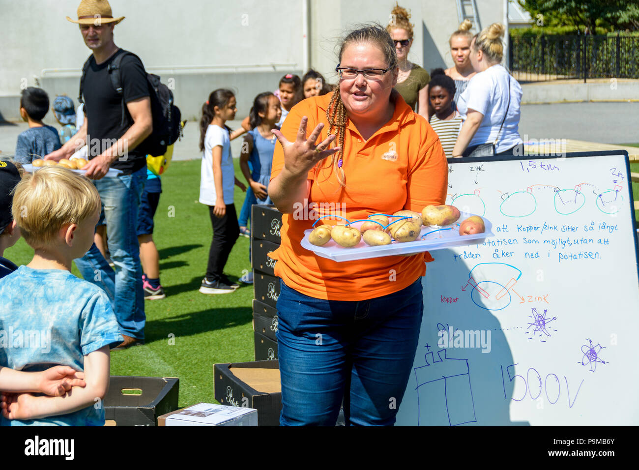 Malmö, Svezia. 19 Luglio, 2018. Un tentativo di impostazione di un record del mondo nella creazione la massima corrente elettrica utilizzando patate ordinaria che si svolgono in Folkets Park (i popoli Park). Tommy Lindholm/Alamy Live News Foto Stock