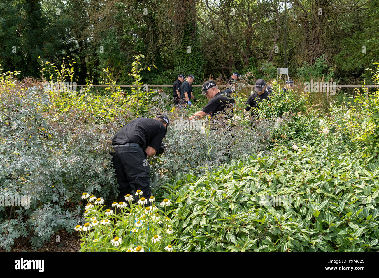 Ricerca di polizia dei team di lavoro in Queen Elizabeth Gardens Salisbury Regno Unito Foto Stock