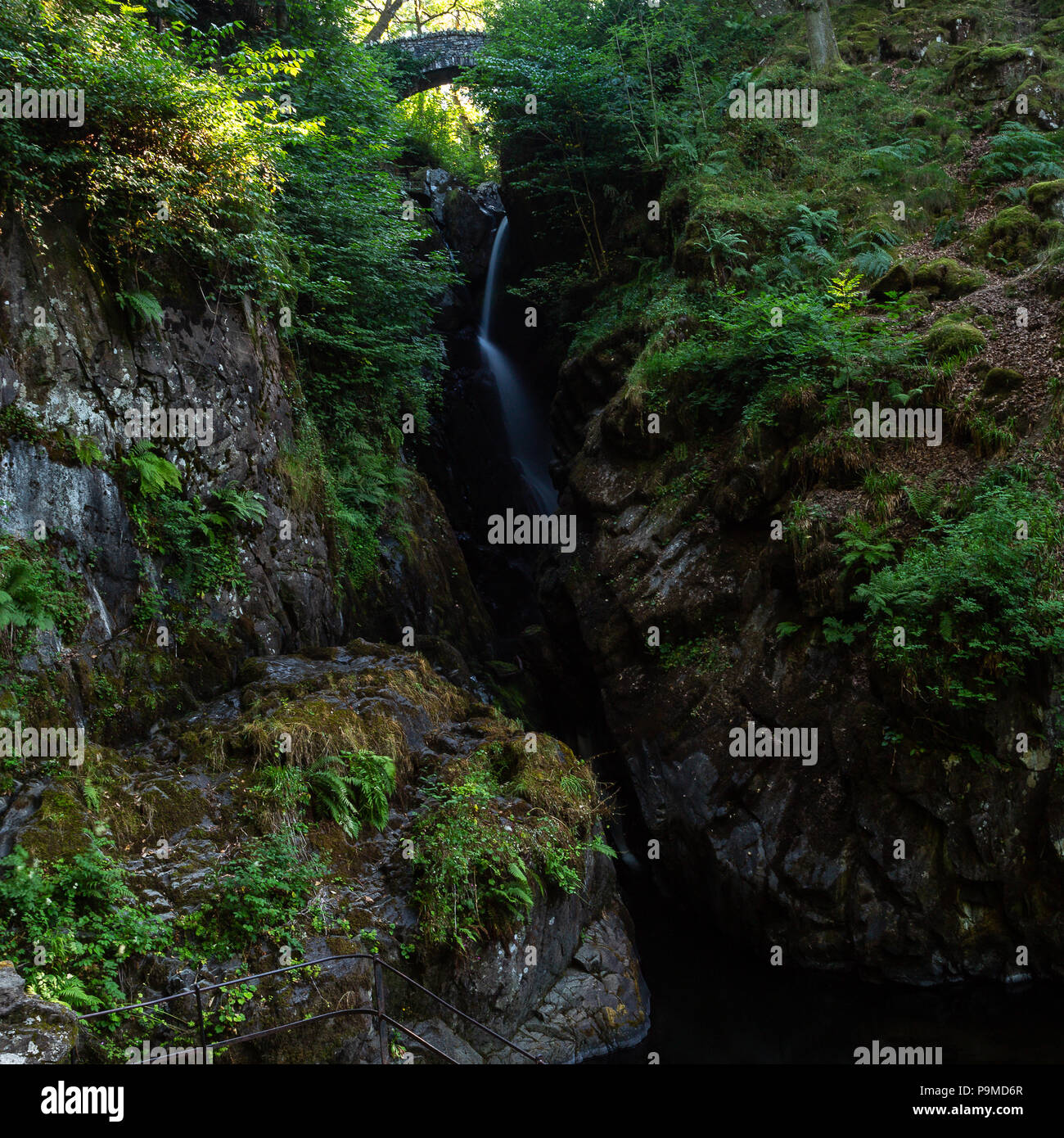 Aira Force cascata , nel distretto del lago, REGNO UNITO Foto Stock