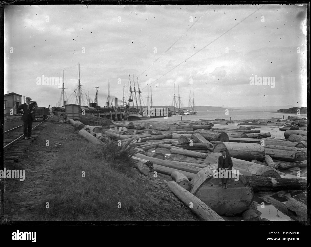313 i bracci di legname in banchina ferroviaria, Whangarei. ATLIB 287526 Foto Stock
