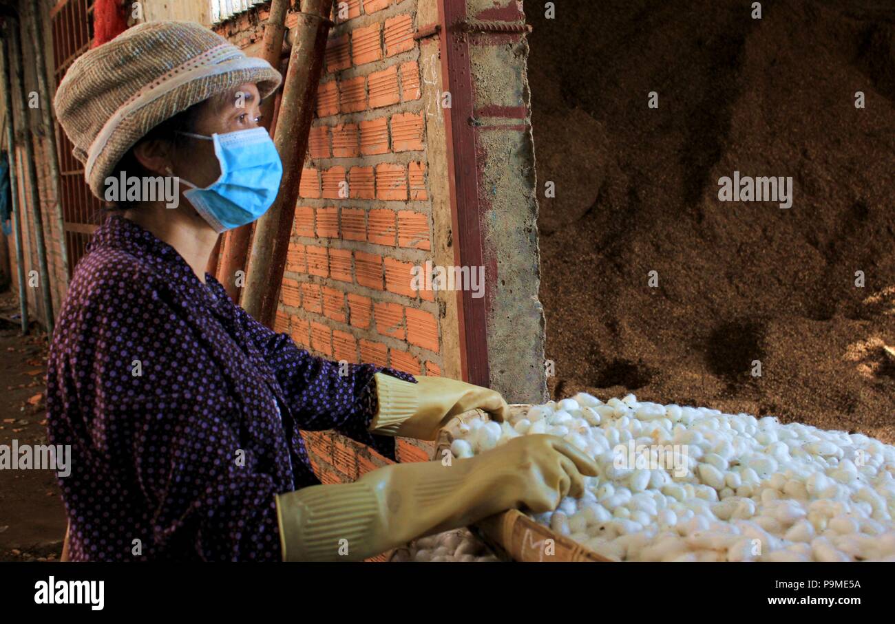 Donna workin in una fabbrica di seta in Da Lat, Vietnam Foto Stock