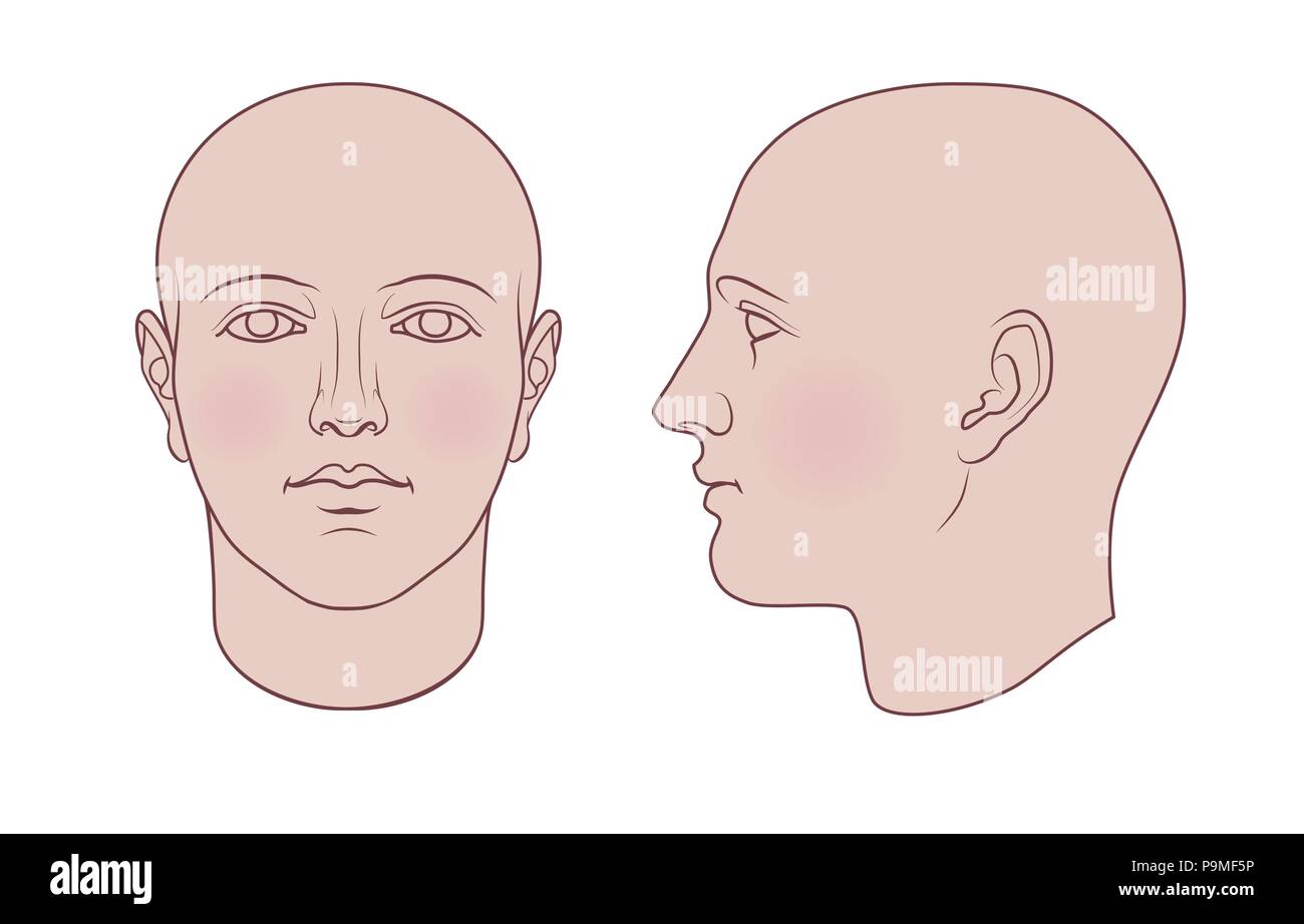 Disegnato a mano testa umana in faccia e profilo. Vettore piatta isolati su sfondo bianco. I disegni possono essere usati ciascuno indipendentemente dall'altro. Illustrazione Vettoriale