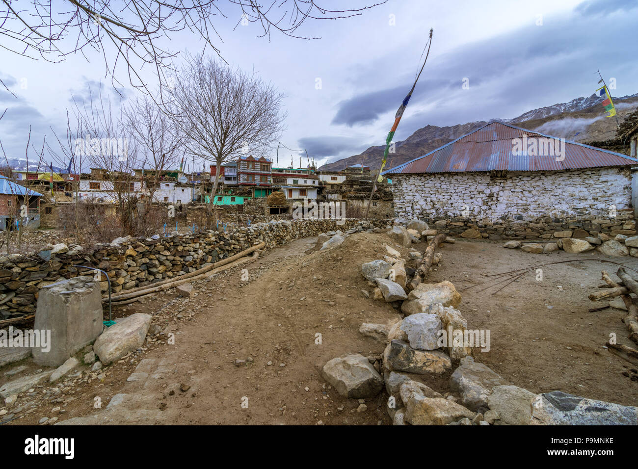 Nako Village, Kinnaur Valley, Foto Stock