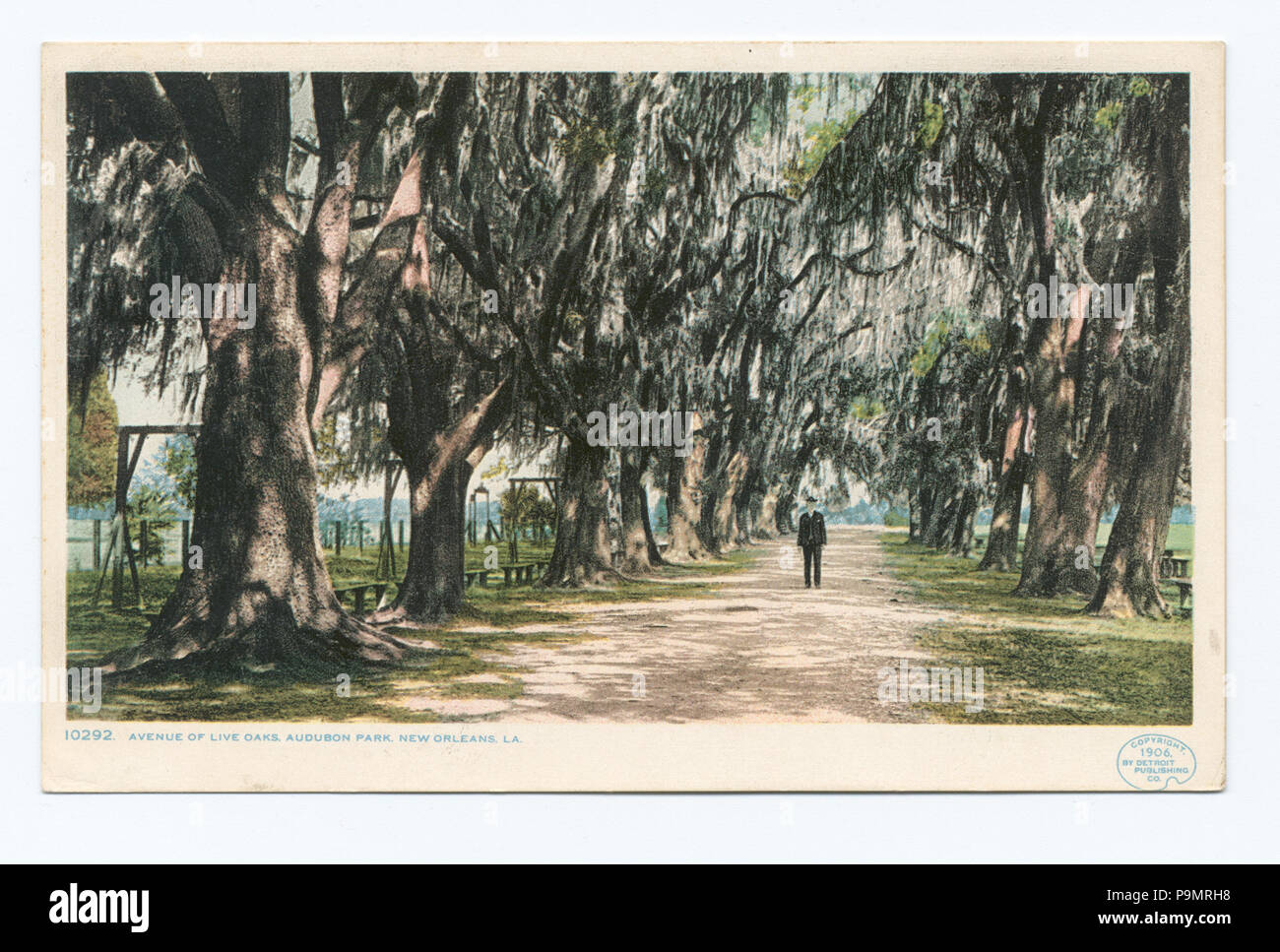 167 Audubon Park Avenue Live delle querce, New Orleans, La (NYPL b12647398-68738) Foto Stock