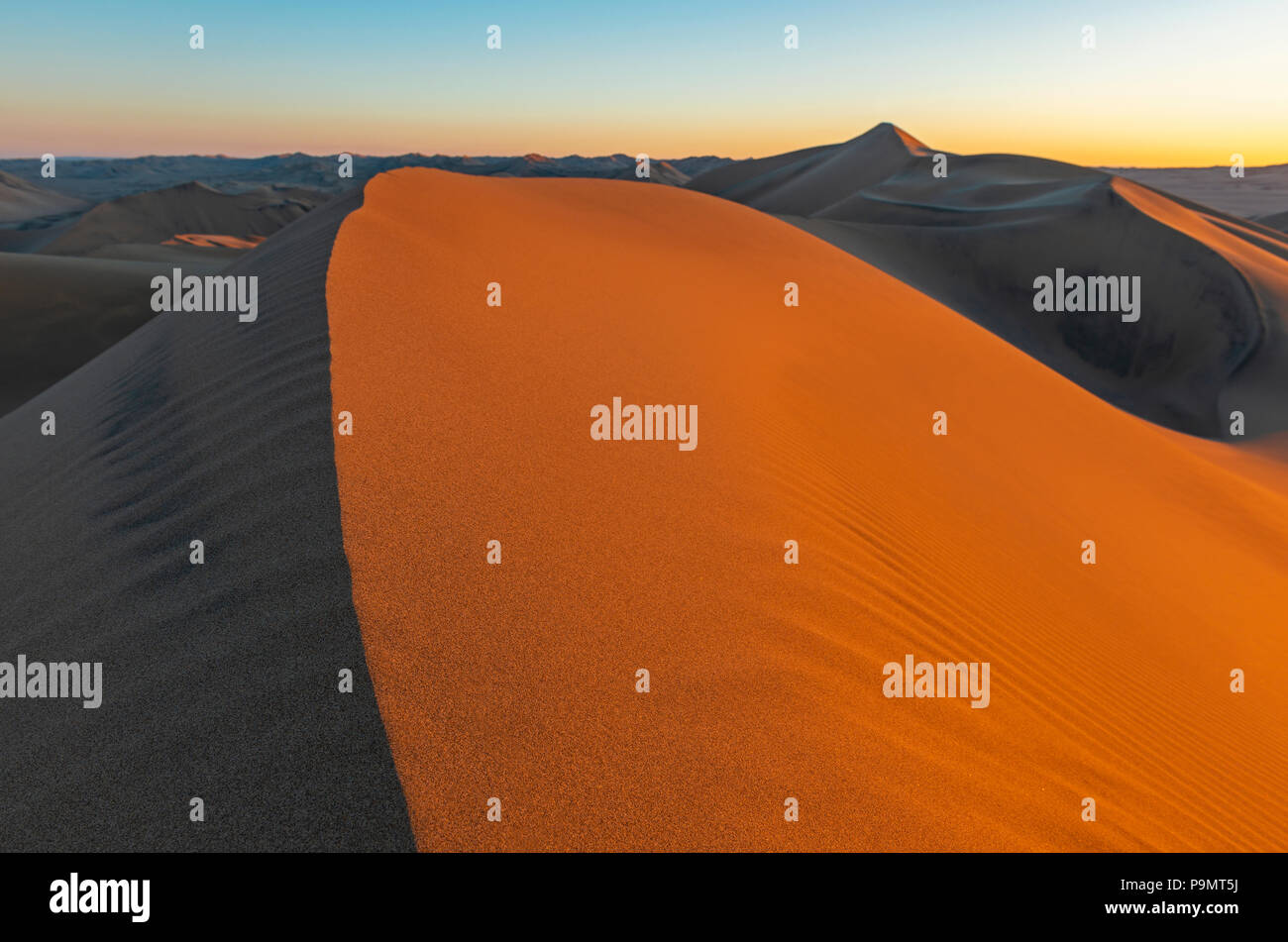 Tramonto nelle dune di sabbia del deserto si trova tra Ica e Huacachina, Perù. Foto Stock