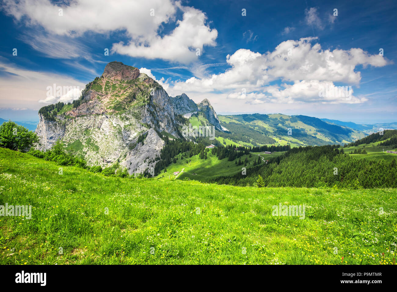 Bella estate paesaggio della Svizzera con Grosser Mythen mountain e prati verdi, Ibergeregg, Svizzera, Europa. Foto Stock