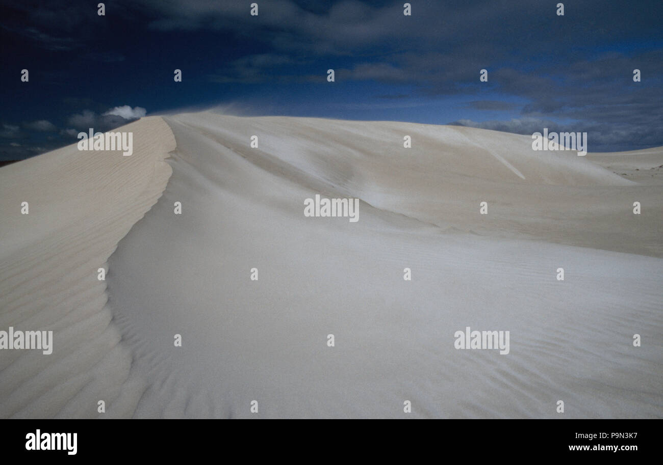 Una cottura sun riflessa da formazione di vesciche ventoso coastal dune di sabbia. Foto Stock