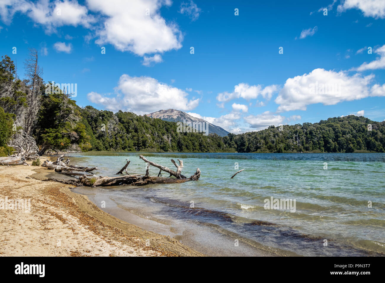 Laguna Patagua lago a Arrayanes National Park - Villa La Angostura, Patagonia, Argentina Foto Stock