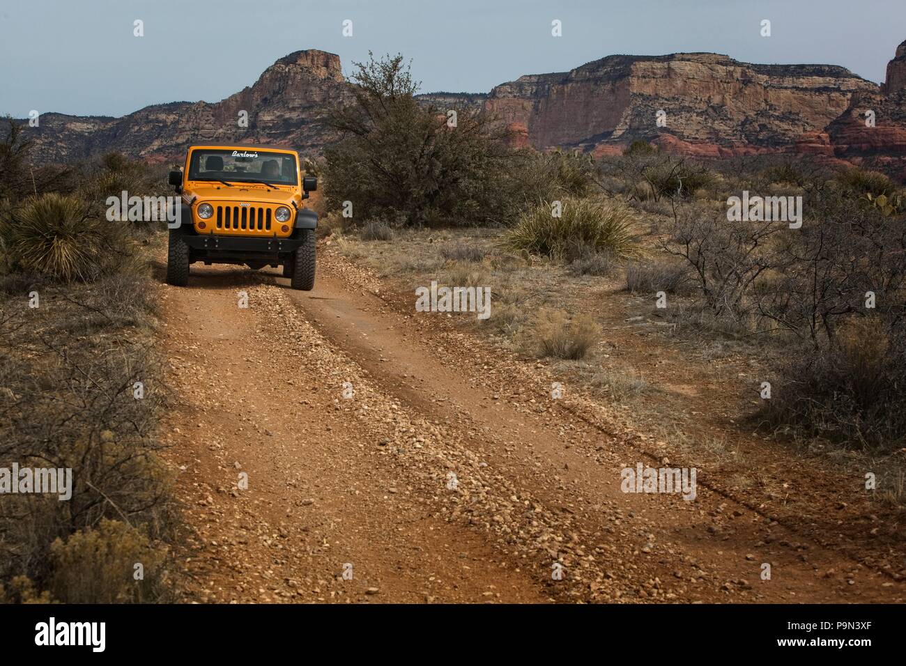 Con quattro ruote motrici Jeep su una pista sterrata in la Coconino National Forest in prossimità di Sedona in Arizona USA Foto Stock