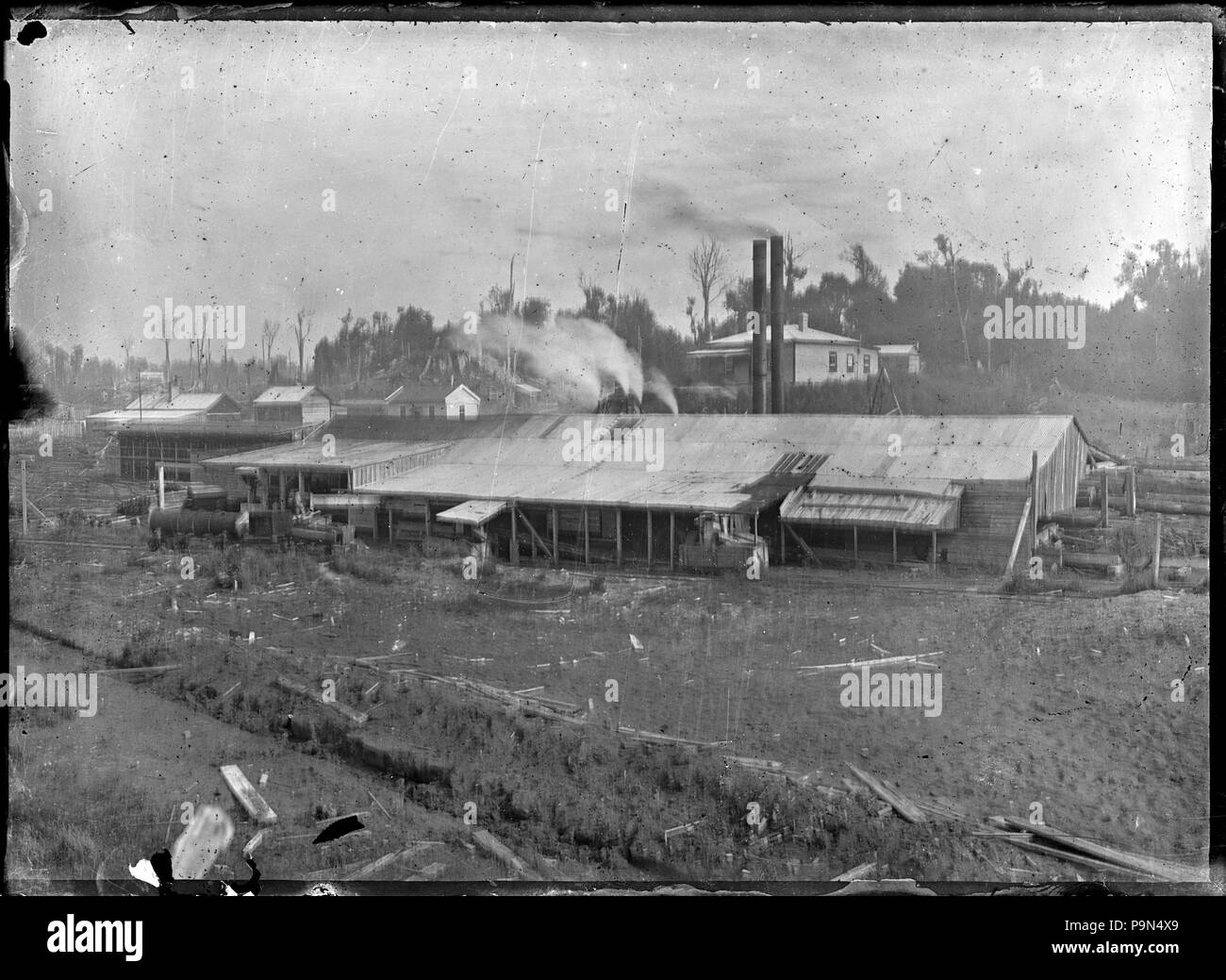 323 vista della montagna la Rimu Timber Company mulino a Mamaku. ATLIB 293266 Foto Stock