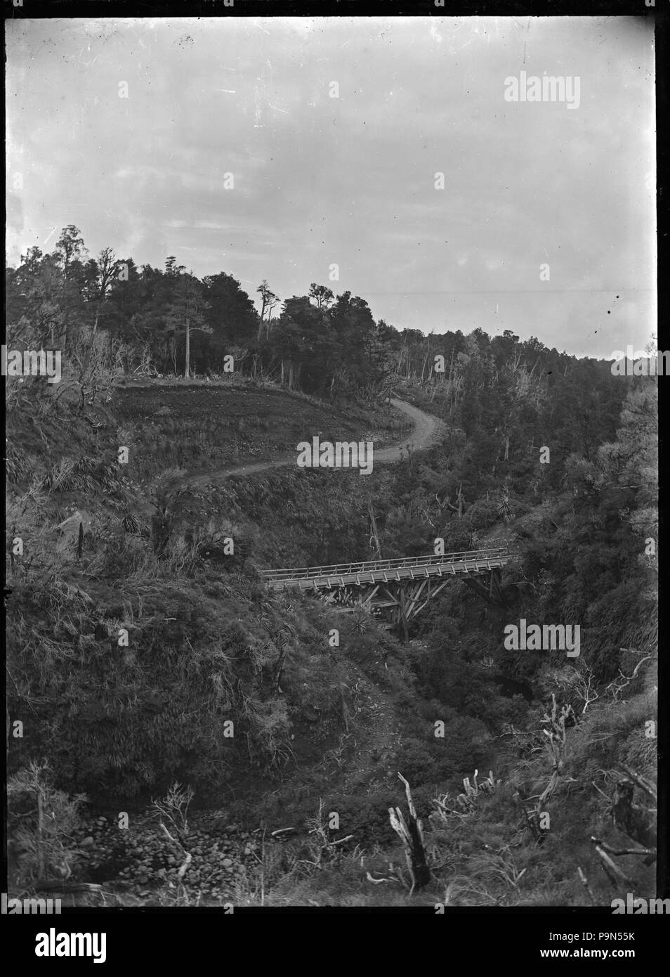 324 Vista del vecchio Coach Road nel paese di bush, preso dal viadotto Manganuiateao, con un ponte stradale attraverso il fiume ATLIB 283738 Foto Stock