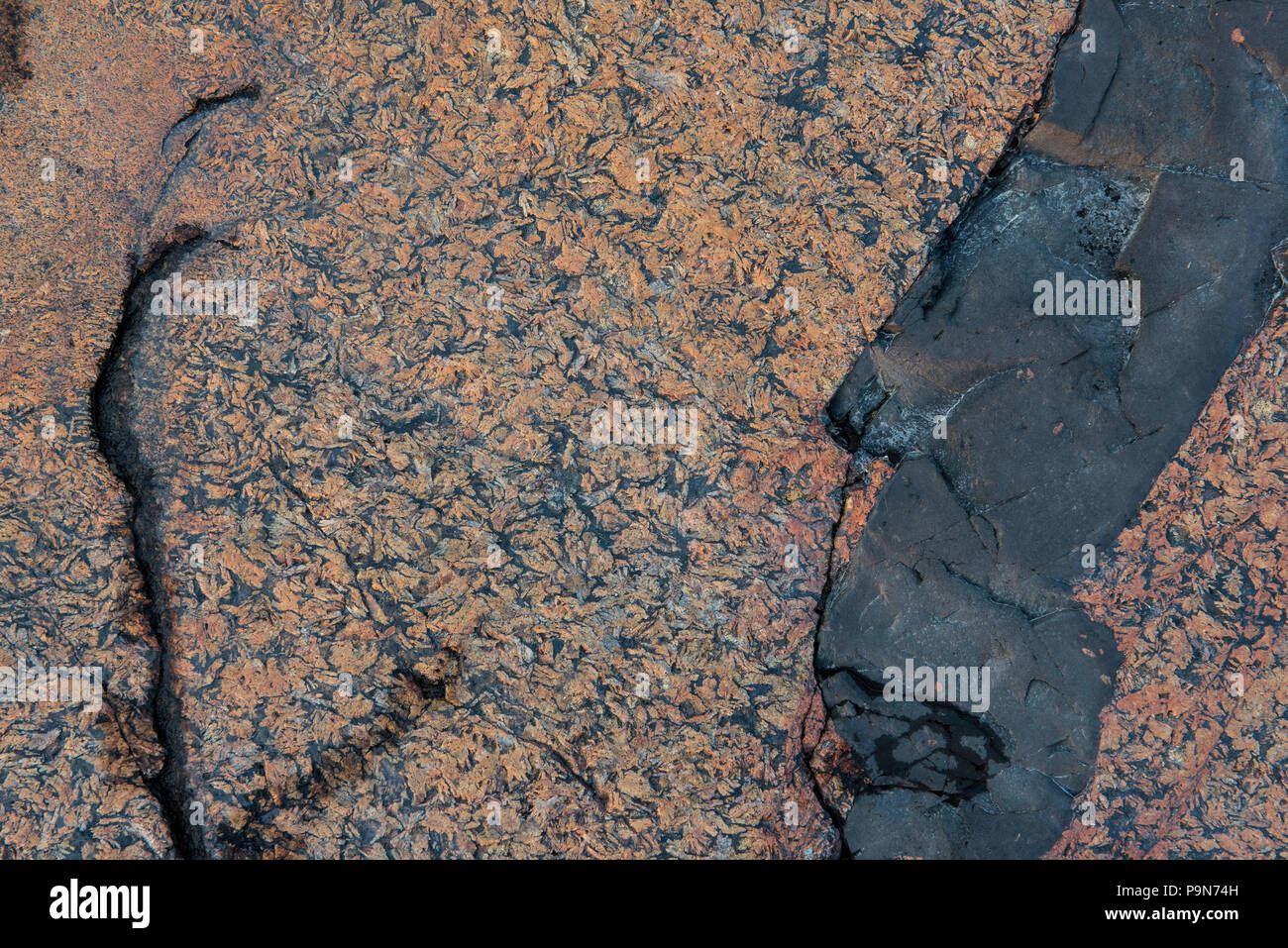 Diabase dike intrusione, roccia lungo lago Superior, Neys Provincial Park, Ontario, Canada, da Bruce Montagne/Dembinsky Foto Assoc Foto Stock