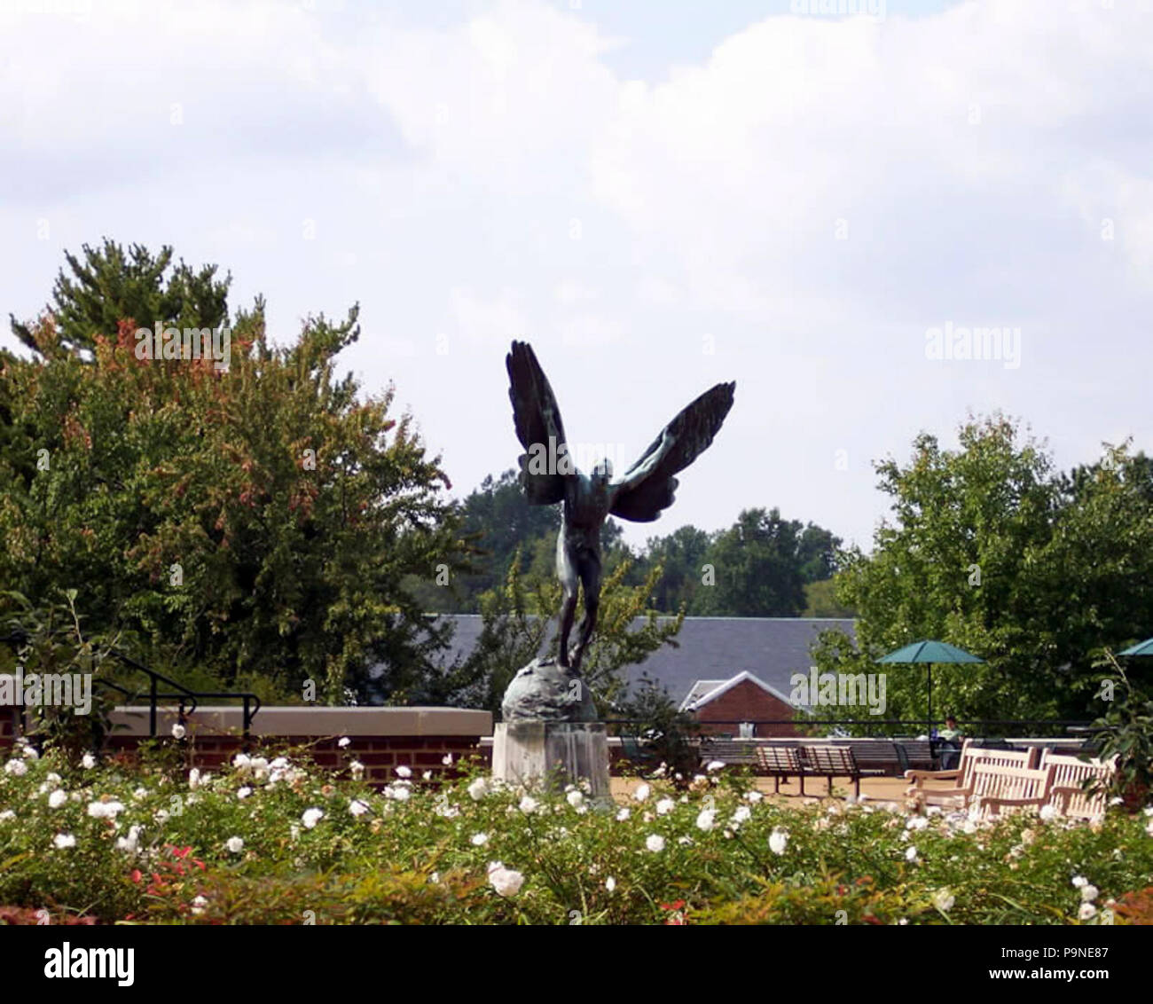 5 "Aviatore" (del 1919) da Gutzon Borglum Foto Stock